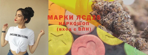 ECSTASY Алзамай