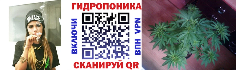 Шишки марихуана сатива  сколько стоит  Белебей 